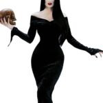 Morticia Addams Family Costume