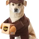 Funny Dog Halloween Costume UPS