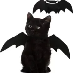 Cat Halloween Costumes