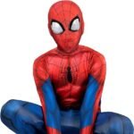 Spiderman Costume